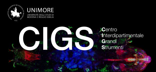 brochure CIGS UniMoRe 2024